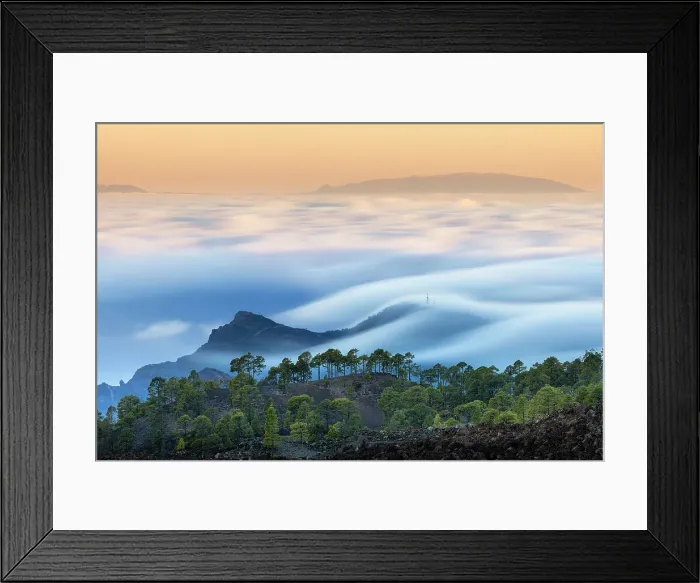 Framed Print : Canary Island Pine Forest with clouds moving over the Atlantic during a long exposure, Teide National Park, Tenerife, Canary Islands
