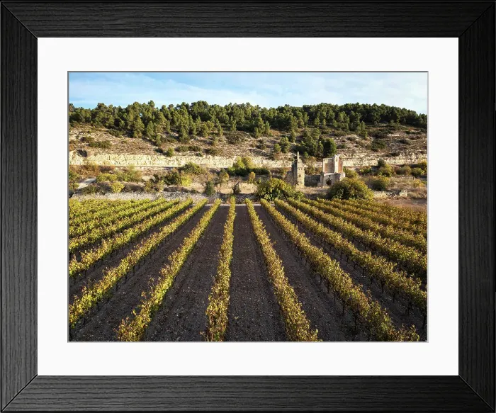 Framed Print : Spain, Catalonia, Lerida, Guimera, Ruins of Santa Maria di Vallsanta church Framed Print : Spain, Catalonia, Lerida, Guimera, Ruins of Santa Maria di Vallsanta church