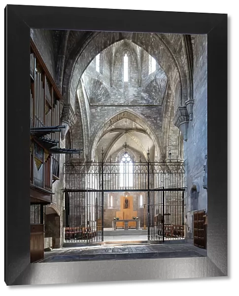 Spain, Catalonia, Lerida, Vallbona de les Monges, The central nave of the monastery