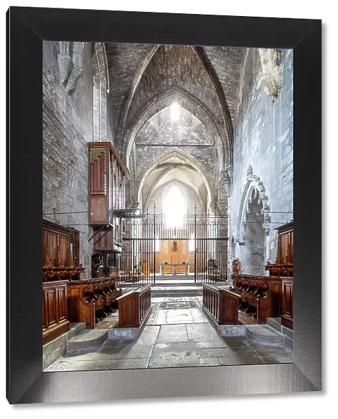 Spain, Catalonia, Lerida, Vallbona de les Monges, The central nave of the monastery