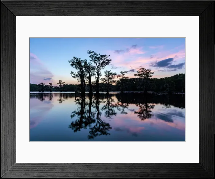 Framed Print : Caddo Lake, Texas, USA Framed Print : Caddo Lake, Texas, USA