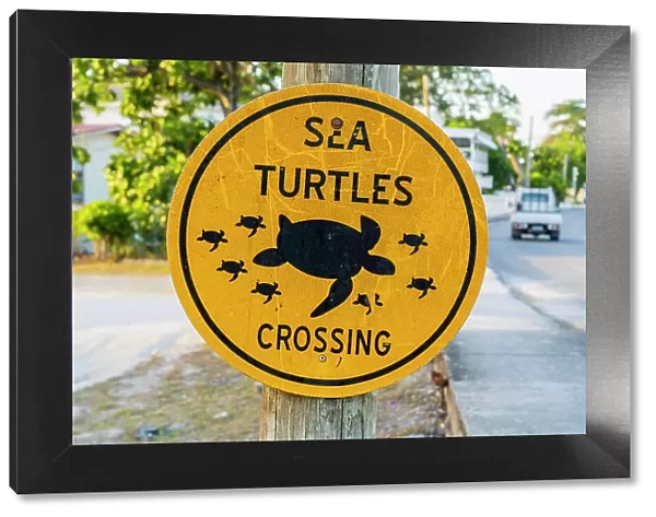 Sea Turtles crossing sign, Paynes Beach, Barbados, Caribbean