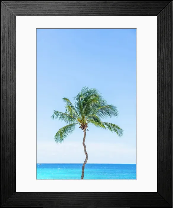 Framed Print : Lone palm tree, Needhams Point Bay, Barbados, Caribbean Framed Print : Lone palm tree, Needhams Point Bay, Barbados, Caribbean