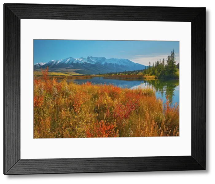 Framed Print : Talbot Lake and the Jacques Range, Jasper National Park, Alberta, Canada Framed Print : Talbot Lake and the Jacques Range, Jasper National Park, Alberta, Canada
