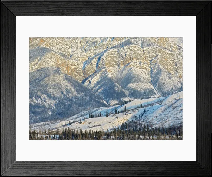 Framed Print : Detail of teh Miette Range pf the Canadian Rocky Mountains looking south from Talbot Lake, Old burn from the Syncline Ridge, Jasper National Park, Alberta, Canada Framed Print : Detail of teh Miette Range pf the Canadian Rocky Mountains looking south from Talbot Lake, Old burn from the Syncline Ridge, Jasper National Park, Alberta, Canada