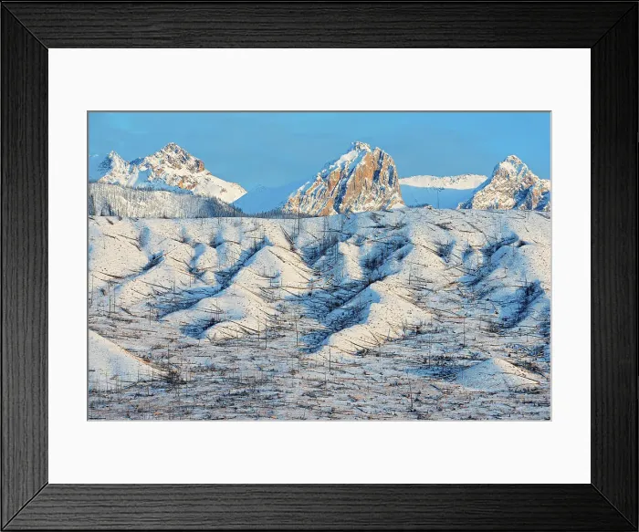 Framed Print : Miette Range of the Canadian Rocky Mountains looking south from Talbot Lake, Old burn from the Syncline Ridge, Jasper National Park, Alberta, Canada Framed Print : Miette Range of the Canadian Rocky Mountains looking south from Talbot Lake, Old burn from the Syncline Ridge, Jasper National Park, Alberta, Canada