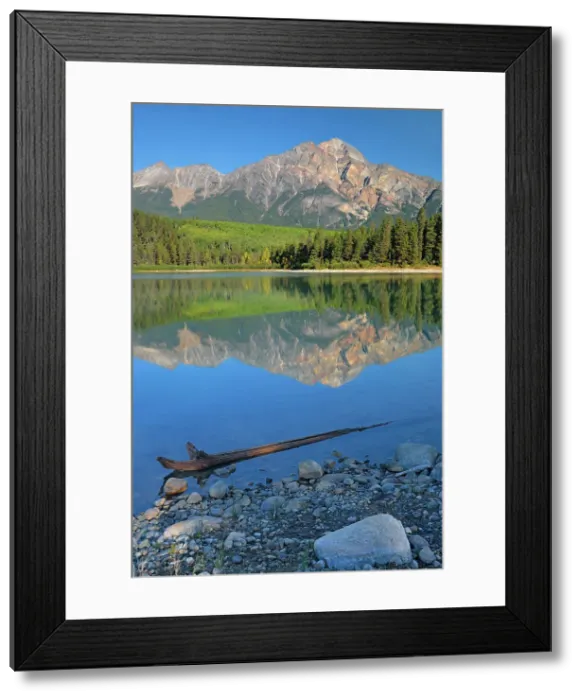 Framed Print : Pyramid Mountain reflected in Patricia Lake and the Canadian Rocky Mountains, Jasper National Park, Alberta, Canada Framed Print : Pyramid Mountain reflected in Patricia Lake and the Canadian Rocky Mountains, Jasper National Park, Alberta, Canada