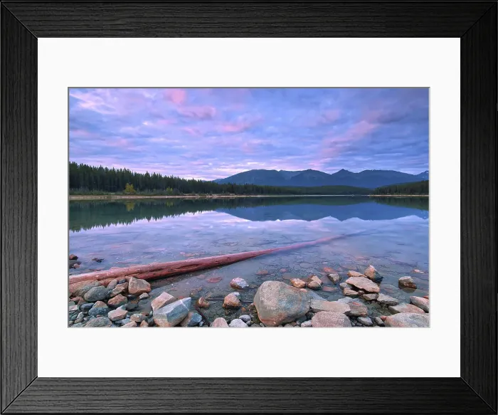 Framed Print : Patricia Lake and the Trident Range, Driftwood or log, Jasper National Park, Alberta, Canada Framed Print : Patricia Lake and the Trident Range, Driftwood or log, Jasper National Park, Alberta, Canada