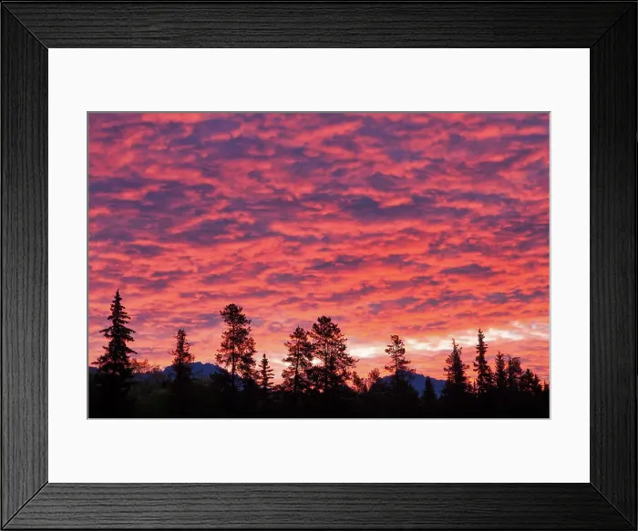 Framed Print : Clouds at sunrise, Patricia Lake, Jasper National Park, Alberta, Canada Framed Print : Clouds at sunrise, Patricia Lake, Jasper National Park, Alberta, Canada