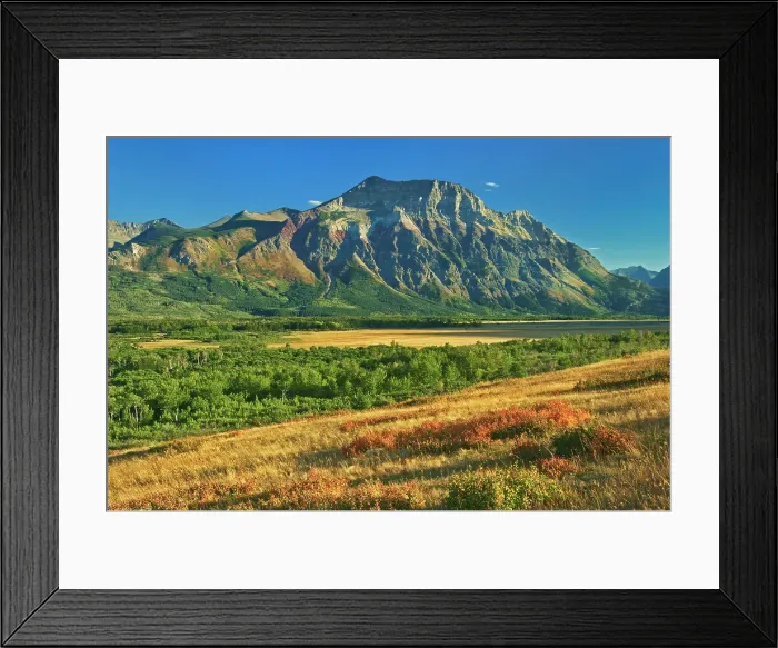 Framed Print : Vimy Ridge. Canadian Rocky Mountains. Vimy Peak is the front range mountain standing east of the townsite in Waterton National Park. Vimy Ridge stretches for three km to the southeast of the peak Framed Print : Vimy Ridge. Canadian Rocky Mountains. Vimy Peak is the front range mountain standing east of the townsite in Waterton National Park. Vimy Ridge stretches for three km to the southeast of the peak