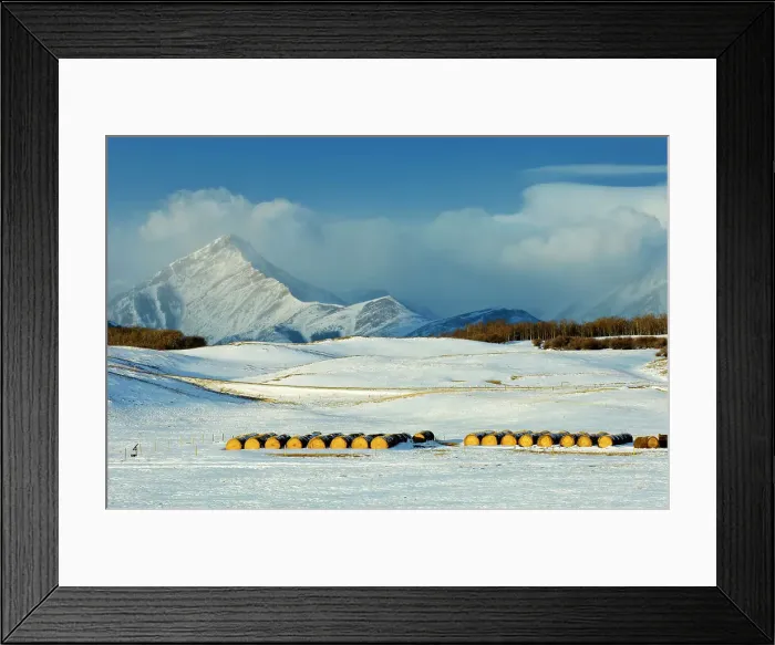 Framed Print : Bales and Rocky Mountains with approaching storm, Alberta, Canada Framed Print : Bales and Rocky Mountains with approaching storm, Alberta, Canada