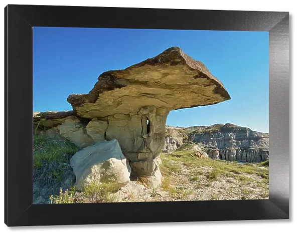 Hoodoo with cap intact, Badlands, UNESCO World Heritage Site, Dinosaur Provincial Park, Alberta, Canada