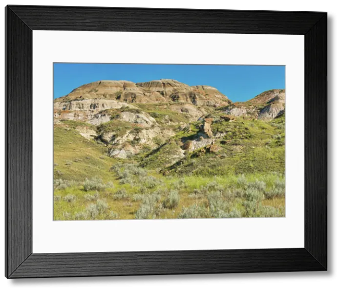 Framed Print : Badlands, UNESCO World Heritage Site, Dinosaur Provincial Park, Alberta, Canada Framed Print : Badlands, UNESCO World Heritage Site, Dinosaur Provincial Park, Alberta, Canada