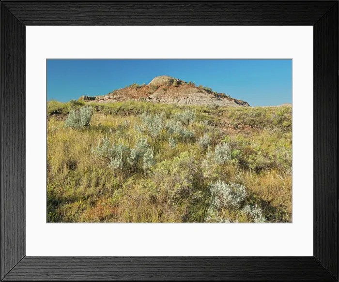 Framed Print : Badlands, UNESCO World Heritage Site, Dinosaur Provincial Park, Alberta, Canada Framed Print : Badlands, UNESCO World Heritage Site, Dinosaur Provincial Park, Alberta, Canada