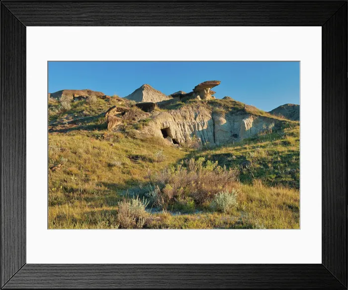 Framed Print : Badlands, UNESCO World Heritage Site, Dinosaur Provincial Park, Alberta, Canada