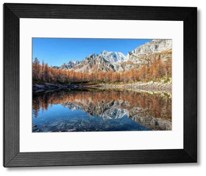 Framed Print : Autumn reflections on the Nero lake, Alpe Devero, Baceno, Alpe Veglia and Alpe Devero natural park, province of Verbano-Cusio-Ossola, Piedmont, italy, Europe