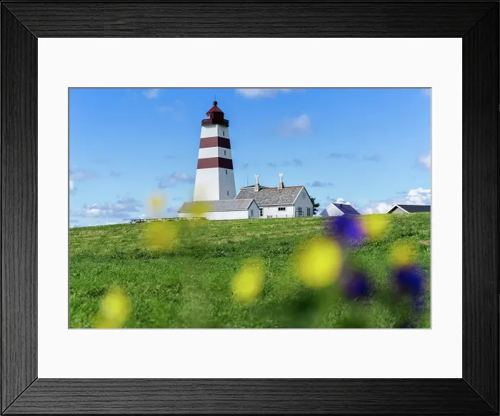 Framed Print : Alnes Lighthouse surrender by flowers, in between meadows and sea, Godoya Island, Alesund, More og Romsdal County, Norway Framed Print : Alnes Lighthouse surrender by flowers, in between meadows and sea, Godoya Island, Alesund, More og Romsdal County, Norway