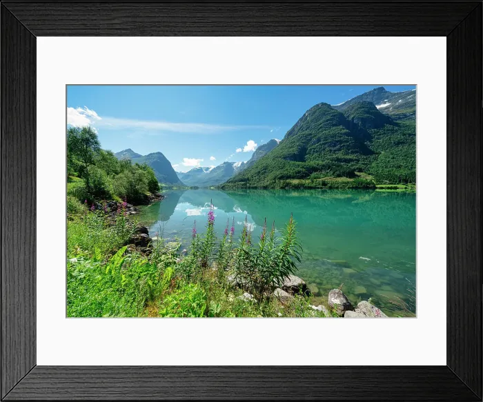 Framed Print : Bucolic view and wild flowers on shores in summer of Oldevatnet lake, Loen, Stryn Municipality, Sogn og Fjordane county, Norway Framed Print : Bucolic view and wild flowers on shores in summer of Oldevatnet lake, Loen, Stryn Municipality, Sogn og Fjordane county, Norway