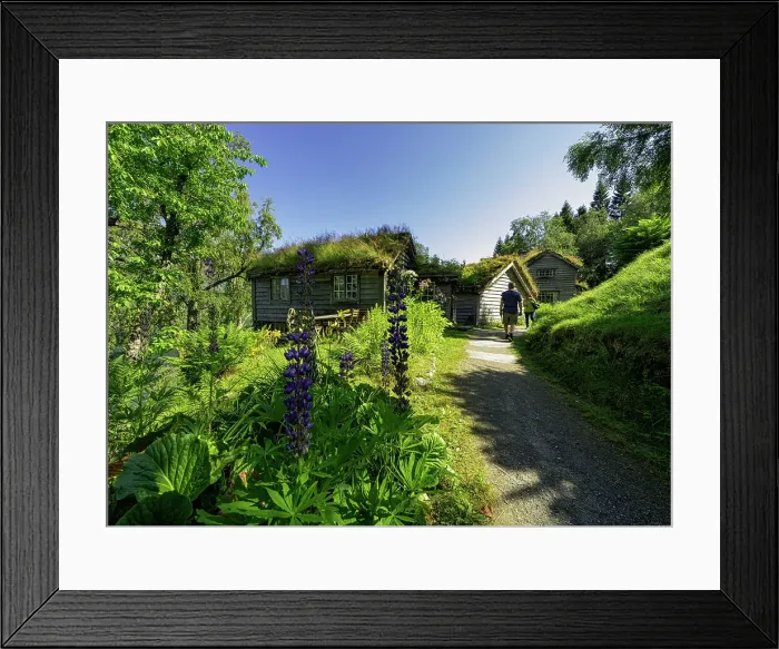 Framed Print : Turist admire Old farms with grass roof, Astruptunet, Jolster, Sunnfjord, Sogn og Fjordane county, Norway Framed Print : Turist admire Old farms with grass roof, Astruptunet, Jolster, Sunnfjord, Sogn og Fjordane county, Norway