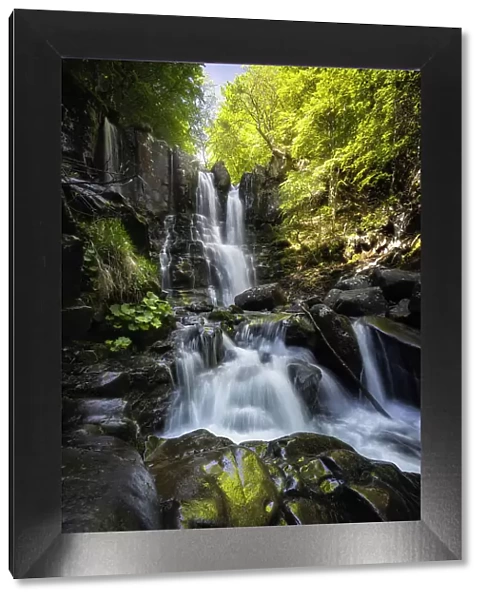 Dardagna waterfalls, Corno Alle Scale Regional Park, Lizzano in Belvedere, Bologna province, Emilia Romagna, Italy, Europe
