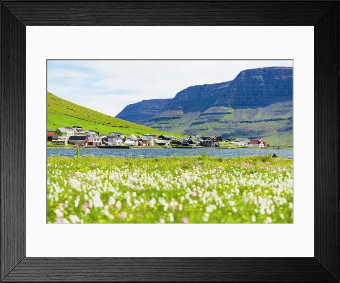 Framed Print : Fishing village of Hvannasund framed by wildflowers in bloom covering the green meadows, Bordoy island, Faroe Island