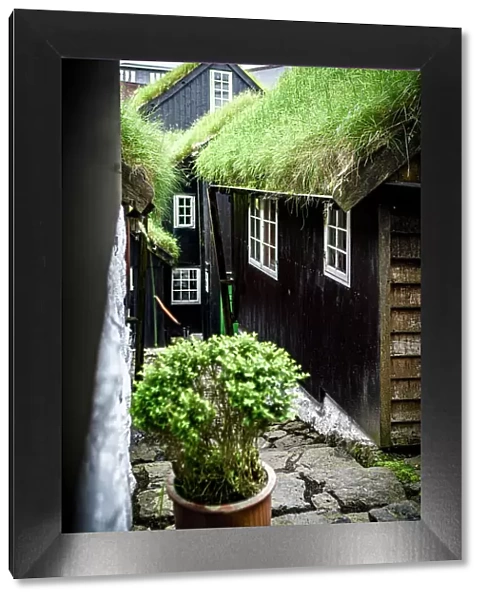 Traditional cottages with grass roof in the old town, Torshavn, Streymoy Island, Faroe Islands