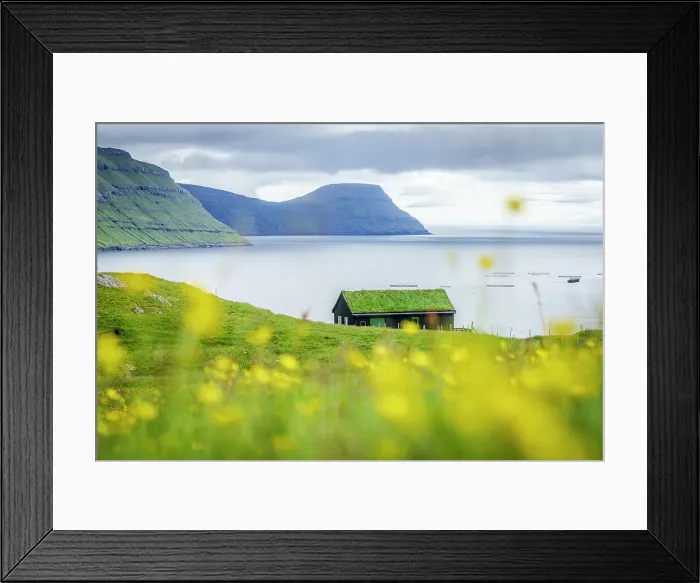 Framed Print : Lone grass roof house framed by flowering meadows in summer, Sydrugota, Eysturoy Island, Faroe Islands Framed Print : Lone grass roof house framed by flowering meadows in summer, Sydrugota, Eysturoy Island, Faroe Islands