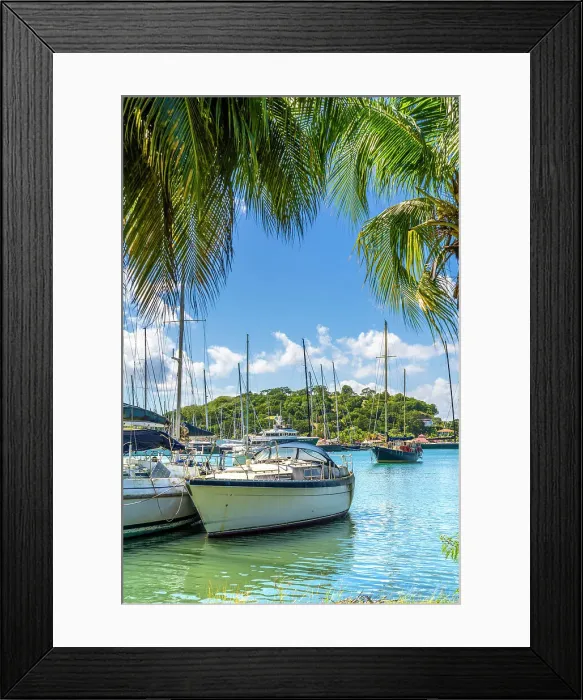 Framed Print : Port Louis Marina, St Georges, Grenada, Caribbean Framed Print : Port Louis Marina, St Georges, Grenada, Caribbean