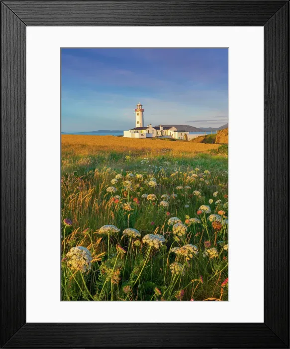 Framed Print : Ireland, Co. Donegal, Fanad, Fanad lighthouse and meadow of wild flowers Framed Print : Ireland, Co. Donegal, Fanad, Fanad lighthouse and meadow of wild flowers