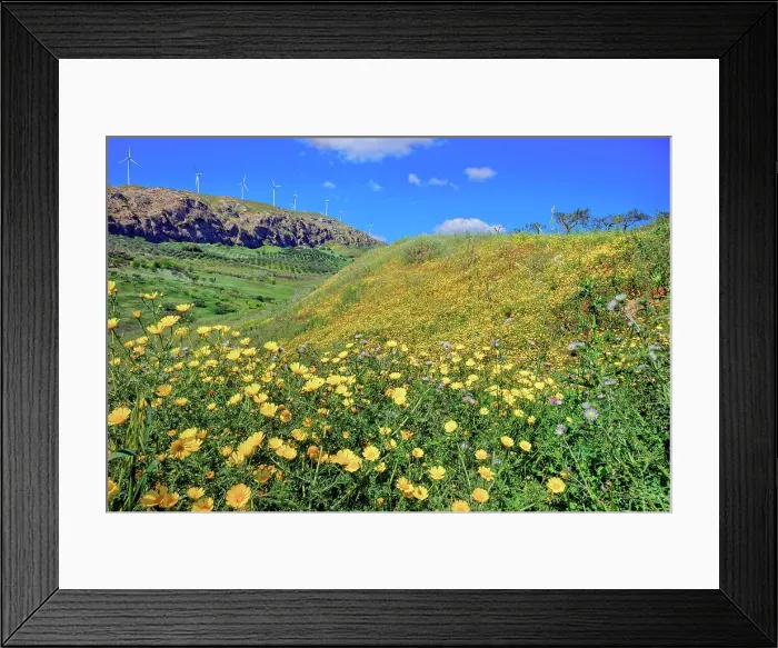 Framed Print : Wild flowers blooming and in the background wind turbines, Realmonte, Agrigento, Sicily, Italy