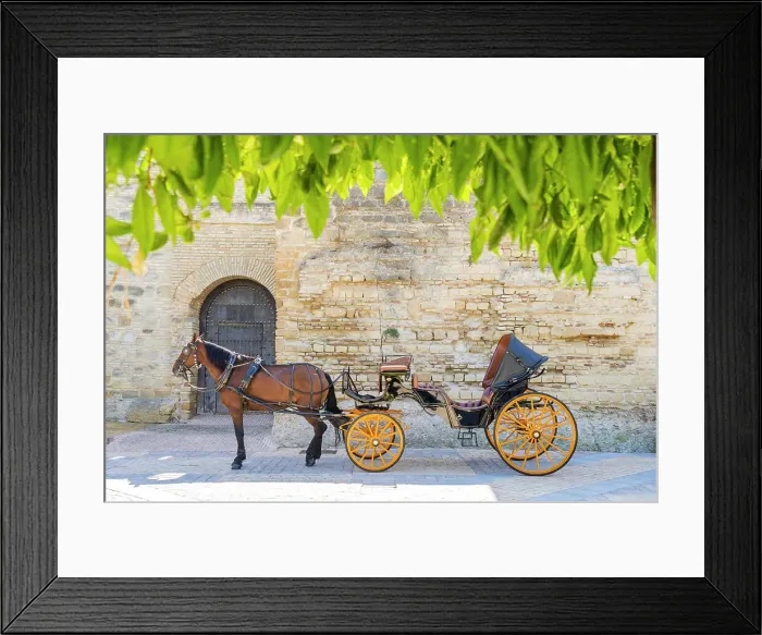 Framed Print : Horse carriage outside the Alcazar de Jerez, Jerez de la Frontera, Andalusia, Spain Framed Print : Horse carriage outside the Alcazar de Jerez, Jerez de la Frontera, Andalusia, Spain