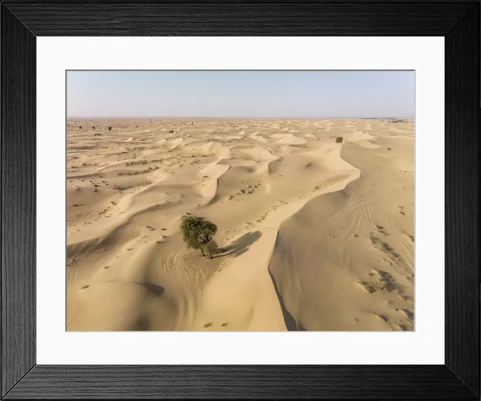 Framed Print : Al Qudra Desert, Dubai, United Arab Emirates
