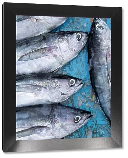 Fishmarket, Tarqui Beach, Manta, Manabi, Ecuador