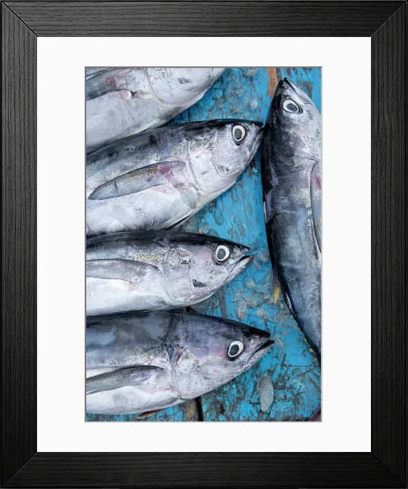 Framed Print : Fishmarket, Tarqui Beach, Manta, Manabi, Ecuador Framed Print : Fishmarket, Tarqui Beach, Manta, Manabi, Ecuador