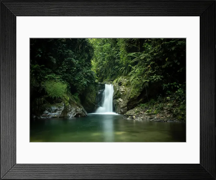 Framed Print : Waterfall in the Cloudforest, Mashpi, Reserva Mashpi Amagusa, Pichincha, Ecuador Framed Print : Waterfall in the Cloudforest, Mashpi, Reserva Mashpi Amagusa, Pichincha, Ecuador