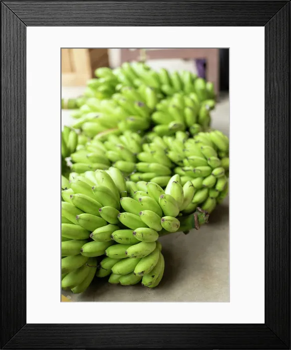 Framed Print : Food Market, Cotundo, Napo Province, Amazonia, Ecuador Framed Print : Food Market, Cotundo, Napo Province, Amazonia, Ecuador