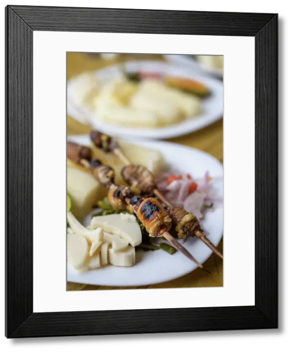 Framed Print : Traditional dish of larvae skewers, Cotundo, Napo Province, Amazonia, Ecuador