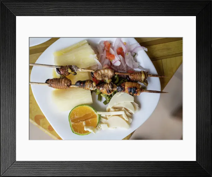 Framed Print : Traditional dish of larvae skewers, Cotundo, Napo Province, Amazonia, Ecuador