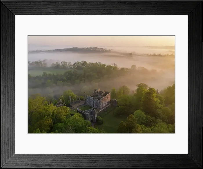 Framed Print : The ruins of Berry Pomeroy Castle at dawn on a misty morning, Devon, England. Spring (May) 2023 Framed Print : The ruins of Berry Pomeroy Castle at dawn on a misty morning, Devon, England. Spring (May) 2023