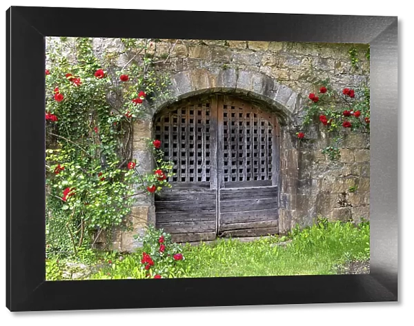 France, Occitanie, Lot, an old door surrounded by roses at the chateau de Montal