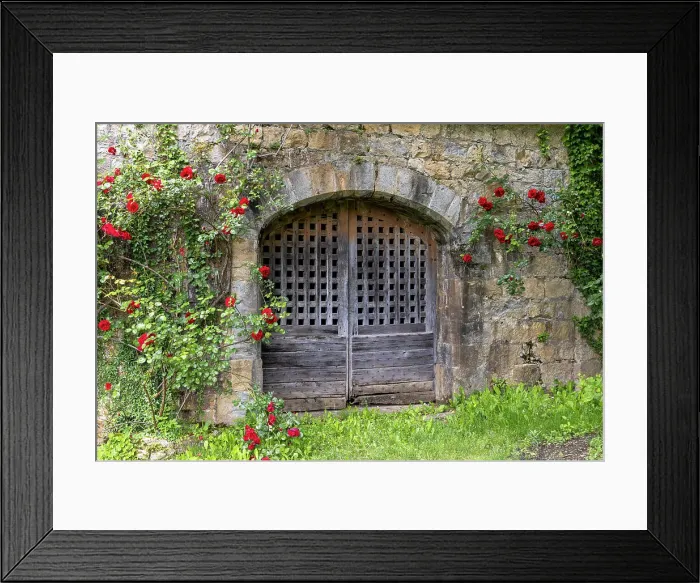 Framed Print : France, Occitanie, Lot, an old door surrounded by roses at the chateau de Montal Framed Print : France, Occitanie, Lot, an old door surrounded by roses at the chateau de Montal
