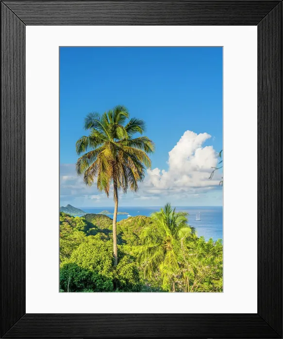 Framed Print : Elevated view from Belair, Carriacou Island, Grenada, Caribbean Framed Print : Elevated view from Belair, Carriacou Island, Grenada, Caribbean