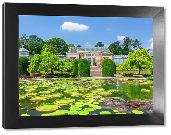 Water Lily pond with Moorish Villa, zoological and botanical gardens, Wilhelma, Stuttgart, Baden-Wurttemberg; Germany