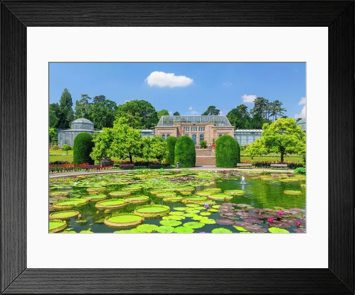 Framed Print : Water Lily pond with Moorish Villa, zoological and botanical gardens, Wilhelma, Stuttgart, Baden-Wurttemberg; Germany Framed Print : Water Lily pond with Moorish Villa, zoological and botanical gardens, Wilhelma, Stuttgart, Baden-Wurttemberg; Germany