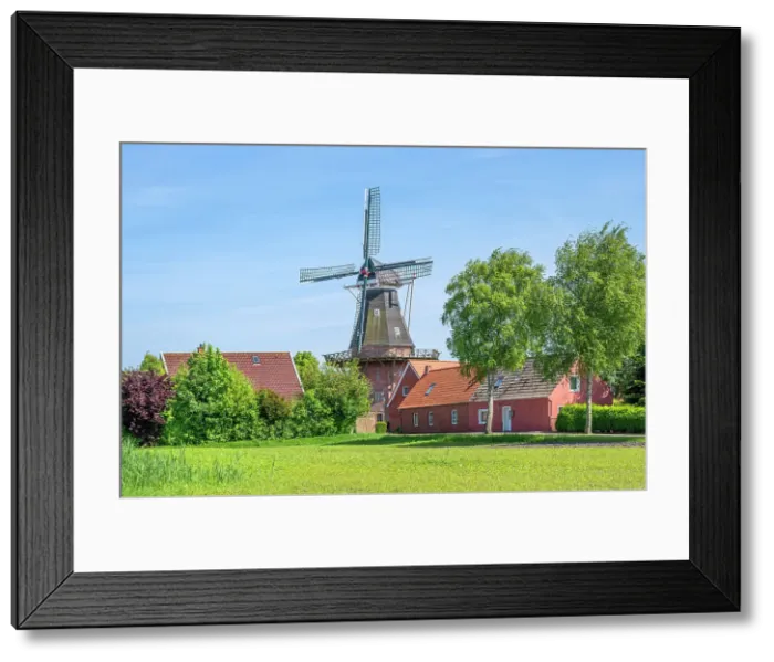 Framed Print : Windmill of Rysum, Krummhorn, East Frisia, Lower Saxony, Germany Framed Print : Windmill of Rysum, Krummhorn, East Frisia, Lower Saxony, Germany