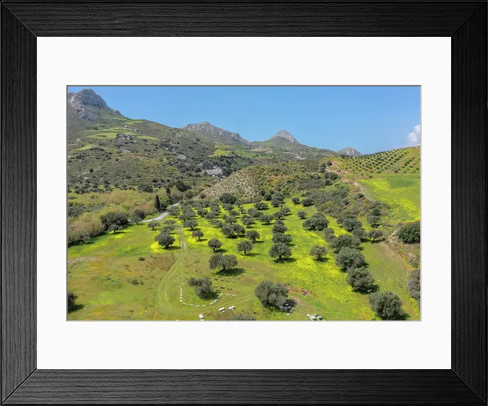 Framed Print : Olive trees in spring, Preveli, Rethymno, Crete, Greece