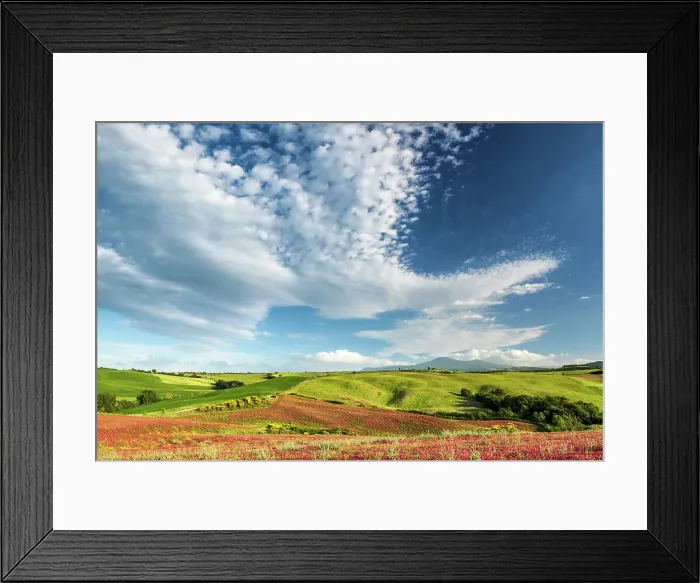 Framed Print : Cloudscape over Field of Clover, Tuscany, Italy Framed Print : Cloudscape over Field of Clover, Tuscany, Italy