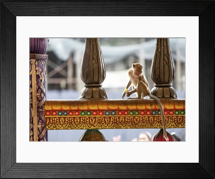 Framed Print : Batu Caves Hindu Temple, Kuala Lumpur, Malaysia Framed Print : Batu Caves Hindu Temple, Kuala Lumpur, Malaysia