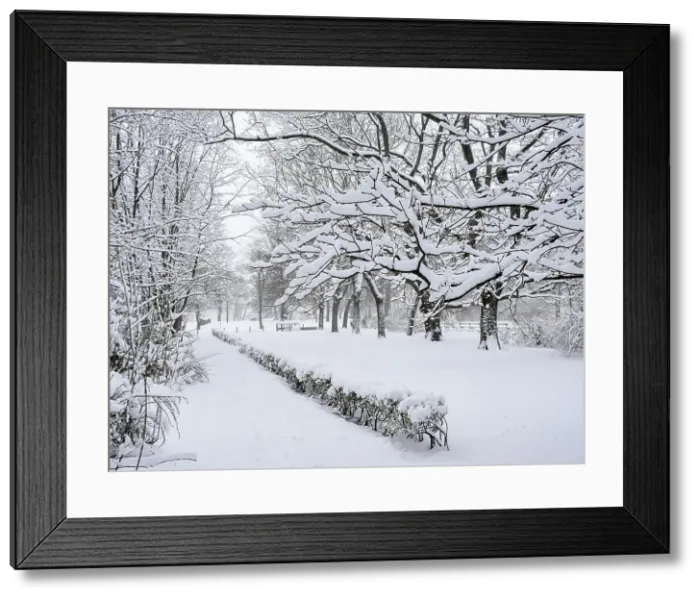 Framed Print : Saxon Garden, winter, Warsaw, Masovian Voivodeship, Poland Framed Print : Saxon Garden, winter, Warsaw, Masovian Voivodeship, Poland