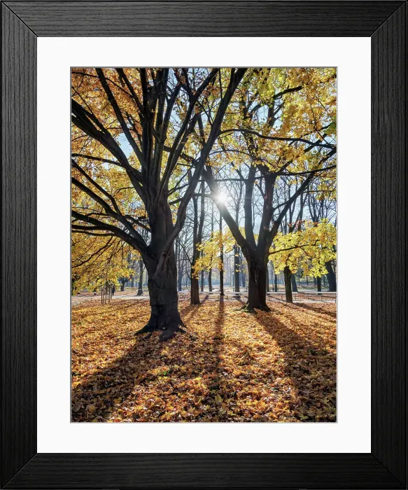 Framed Print : Saxon Garden, Warsaw, Masovian Voivodeship, Poland Framed Print : Saxon Garden, Warsaw, Masovian Voivodeship, Poland
